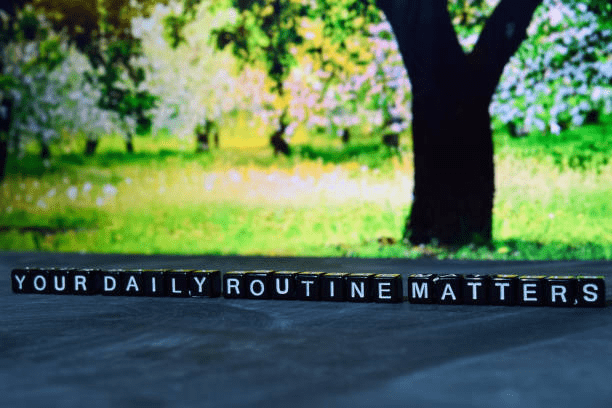 Daily Routine matters