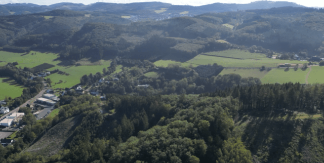 Waldbestand Sauerland - Finnentrop Richtung Kückelheim
